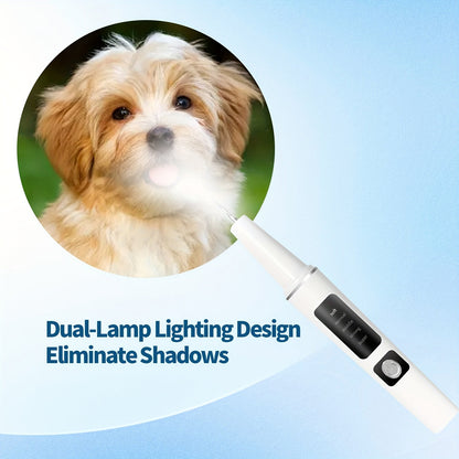Electric Pet Dental Cleaning Kit – USB Rechargeable Cat & Dog Teeth Cleaner, 4 Cleaning Heads & 5 Modes, Removes Stains & Tartar for Cats and Dogs