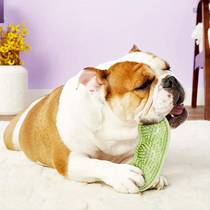Puppy Chew Toys 16-Pack – Teething Bundle for Small Dogs & Aggressive Chewers with Squeaky Toys & IQ Treat Ball