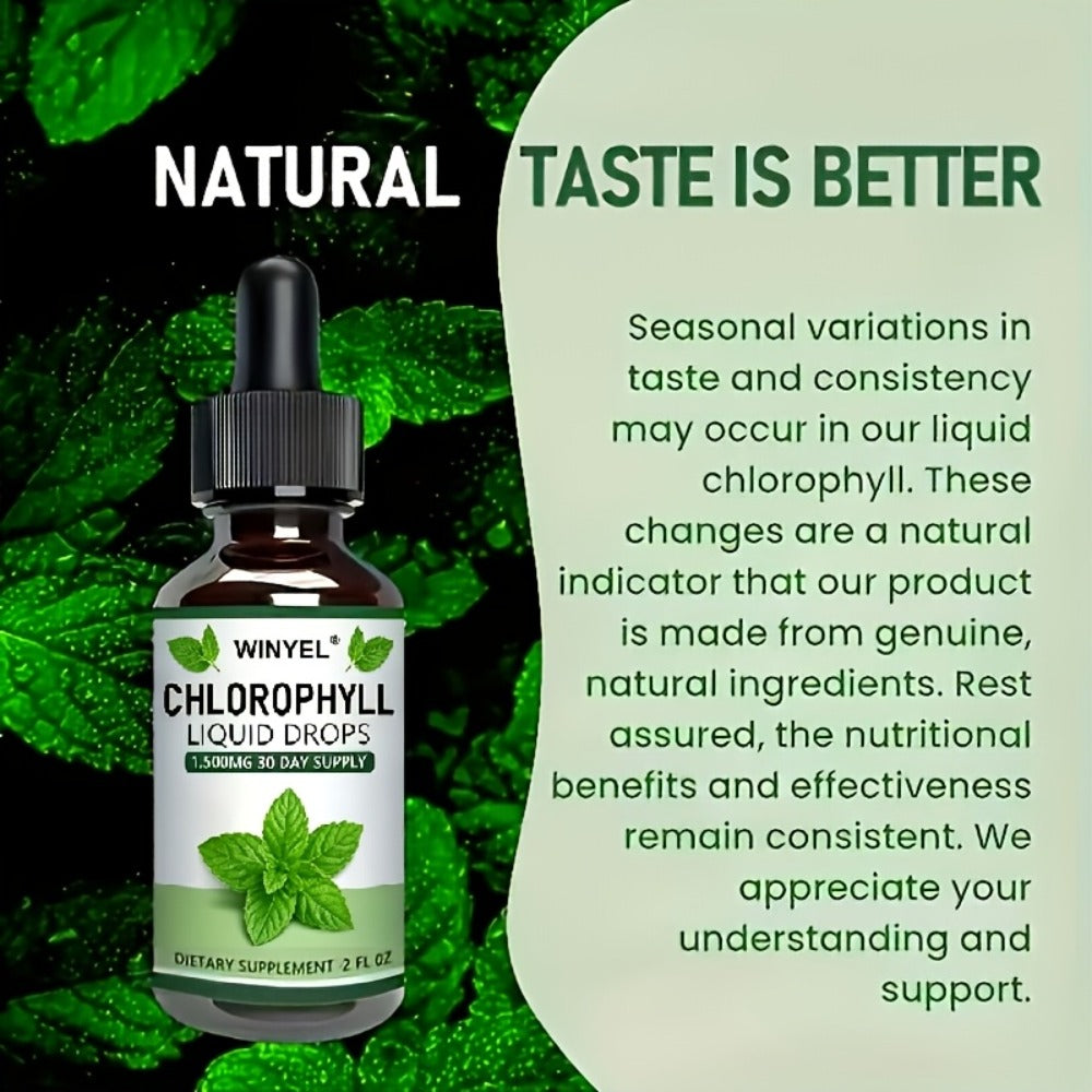 Liquid Chlorophyll Drops Supplement for Internal Deodorant Body Odor Control Detox Skin Clarity & Natural Energy — Alkalizing Antioxidant Plant-Based Daily Wellness for Women & Men 60-Day Supply