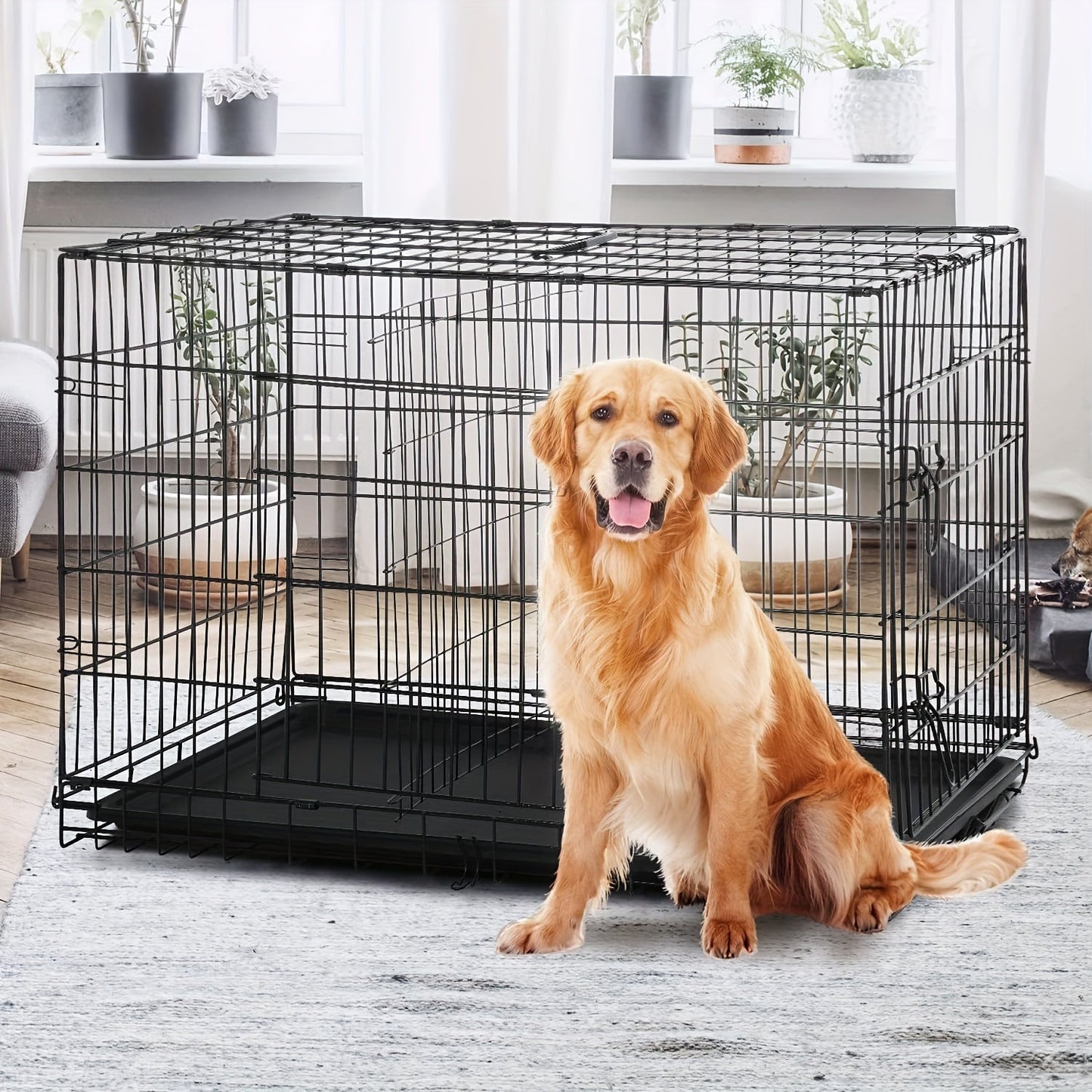 Dog Crate Double Door Folding Metal Cage with Divider & Leak-Proof Tray – 42 & 48 Inch Wire Kennel for Puppies, Medium & Large Dogs, Portable Indoor Outdoor Pet Crate, 3 Colors