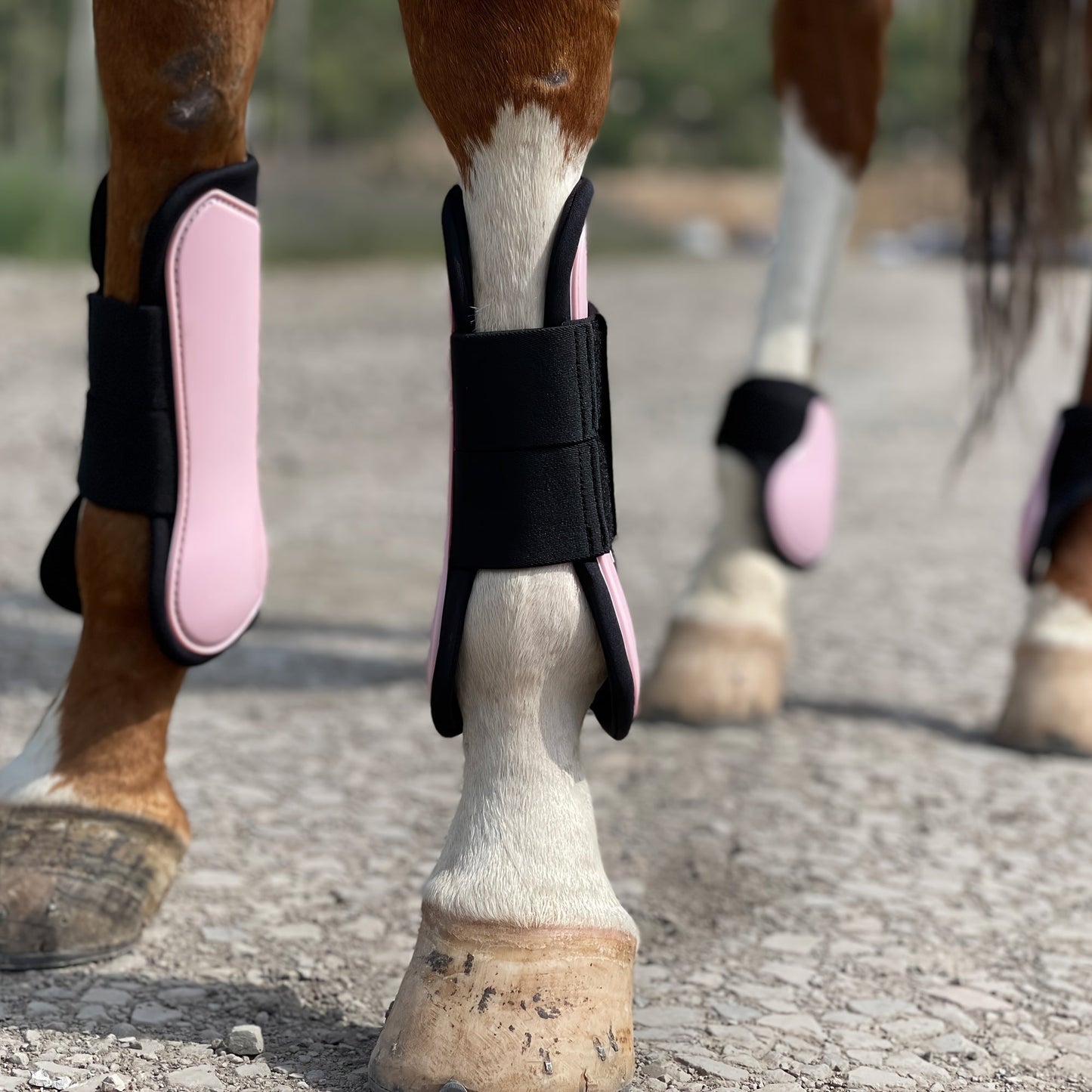 Horse Boots Set of 4 – Open Front Tendon & Fetlock Leg Protection Boots, PU Neoprene Splint Boots for Training, Racing, Riding & Jumping, Full, COB & Pony Sizes, 10 Colors