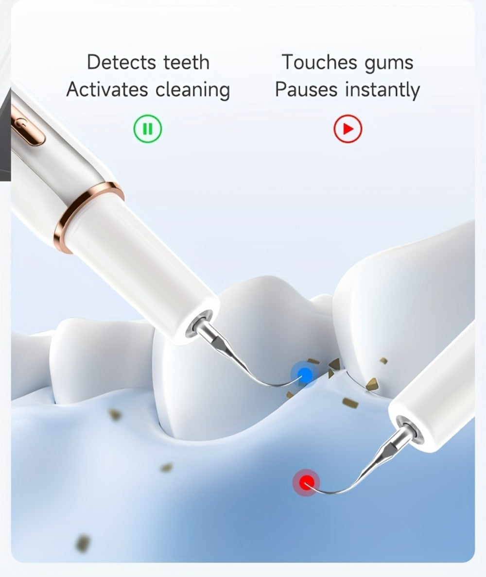 Interdental Plaque Remover with LED Light – Electric Teeth Cleaner, 5 Cleaning Modes, 2 Replacement Heads, Oral Irrigator-Like Function, No Water Required, Dental Care for Travel & Home Use