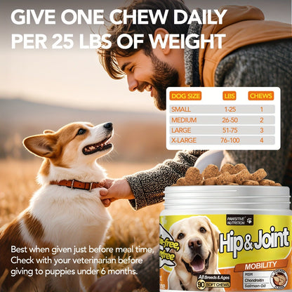 Hip & Joint Supplement for Dogs with Glucosamine & Chondroitin - MSM, Alaskan Salmon Oil Soft Chews for Mobility & Flexibility, Advanced Joint Care for All Breeds, Chicken Flavor, 90 Count