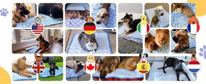 Dog Cooling Mat Self-Cooling Pad for Dogs & Cats - Pressure Activated Arc-Chill Fiber, Non-Toxic Washable Foldable Pet Cool Mat for Summer, Indoor Outdoor Use, Small Medium Large XL