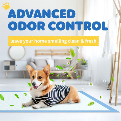 6-Layer Puppy Pads 100 Count - Super Absorbent Leak-Proof Odor Control Dog Pee Pads for Potty Training, Large & XL Size 34"x28" and 22"x22" for Dogs, Puppies & Cats