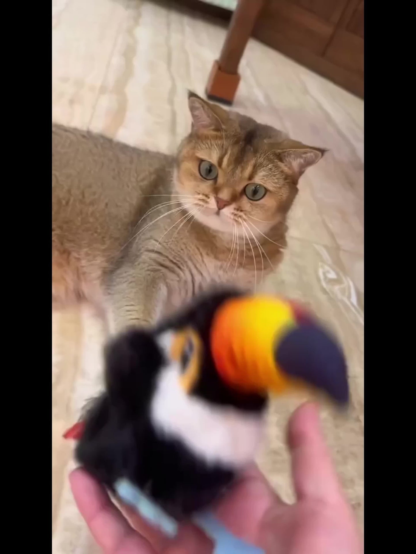 Flapping Bird Cat Toy with Realistic Chirping Sound - USB Rechargeable Interactive Plush Toy for Indoor Cats & Kittens, Smart Teaser for Exercise Enrichment & Boredom Relief