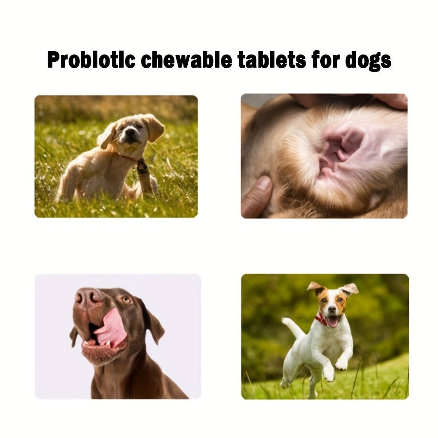 Dog Probiotic & Prebiotic Chewable Treats with Natural Ingredients - Supports Gut Health & Quality of Life for All Breeds, Daily Wellness Soft Chews for Dogs, 1pc & 3pc Value Pack