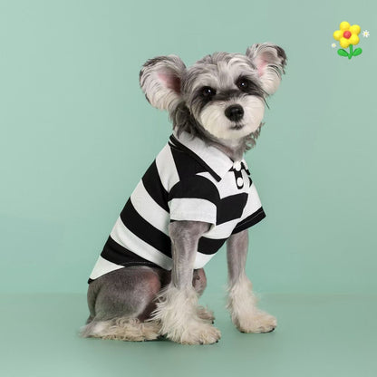 Dog Shirts 5-Pack Striped Breathable T-Shirts for Small Dogs & Cats – Soft Puppy Sweatshirt Costumes for Chihuahua, Poodle, Teacup Breeds, Boys & Girls, Sizes XS–4XL