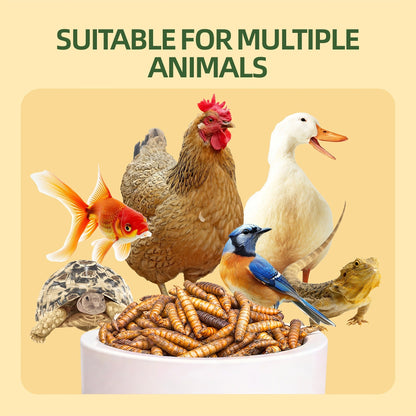Dried Black Soldier Fly Larvae for Chickens - High Protein BSF Larvae Treats with Calcium for Laying Hens Ducks Quail Birds Reptiles Non-GMO Natural