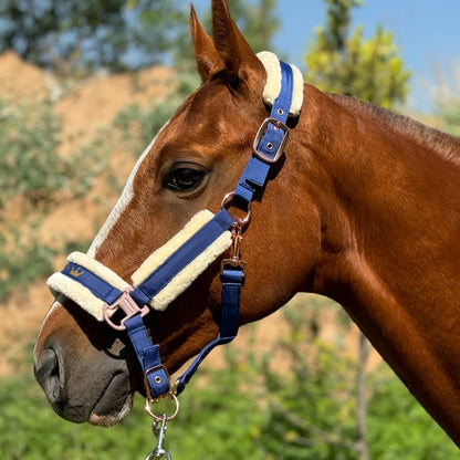 Horse Halter with Detachable Faux Fur Band & Glossy Buckle – Adjustable Head Collar for Horses, Available in 15 Colors & 3 Sizes FULL COB PONY