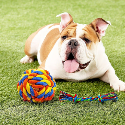 Puppy Chew Toys 16-Pack – Teething Bundle for Small Dogs & Aggressive Chewers with Squeaky Toys & IQ Treat Ball