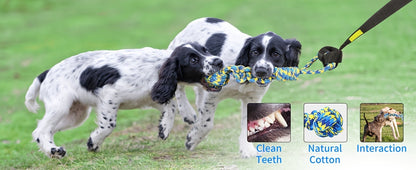 Bungee Dog Tug Toy Outdoor Hanging from Tree Height Adjustable 19.7 Ft Elastic Cord Tether with Chew Rope - Solo & Interactive Exercise Play for All Dog Breeds Small to Large