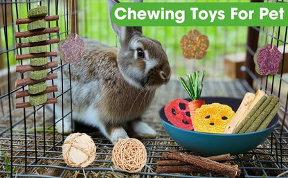Small Animal Dental Treats 21pcs – Natural Timothy Hay Variety Set with Hay Sticks, Timothy Cakes & Carrot Strawberry Treats for Rabbits, Guinea Pigs & Hamsters – Teeth Care Forage Snacks