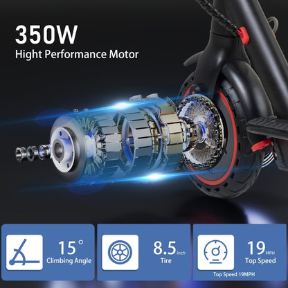 Electric Scooter for Adults 350W Motor Foldable Commuter E-Scooter 19 Miles Range 8.5" Solid Tires Portable Lightweight Travel Scooter for City Riding Shopping Commuting