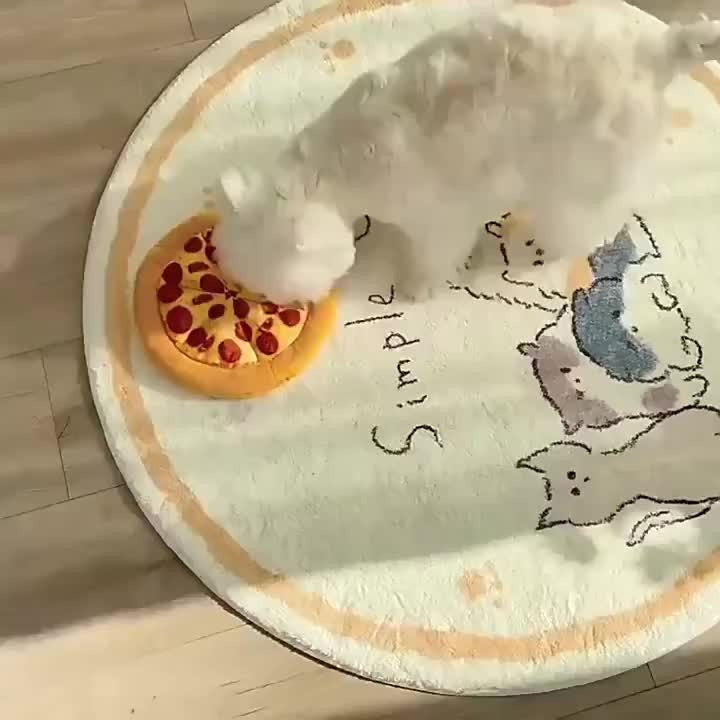 Squeaky Pizza Dog Toy - Plush Pepperoni Pizza & Donut Chew Toy for Dogs, Durable Soft Interactive Toy for All Breeds, Fun Food-Shaped Squeaky Dog Gift for Puppies & Adult Dogs