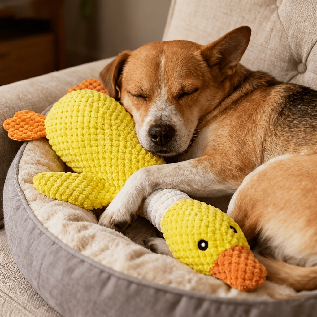 Squeaky Plush Dog Toys for Small Medium Large Dogs - Crinkle Stuffed Animal Chew Toy for Puppies, Shark & Platypus Design, Interactive Teething Toy for Aggressive Chewers, Fun Pet Gift
