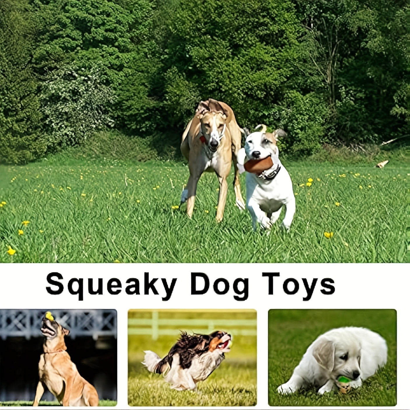 Squeaky Dog Toys 14 Pack Stuffed Plush Fruits Vegetables Set Crinkle Chew Toys for Puppies Small Medium Dogs Teething Safe Non-Toxic Machine Washable