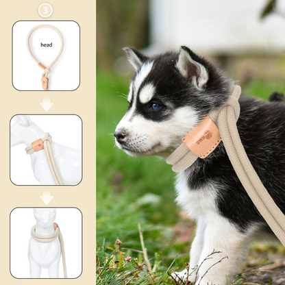 Dog Slip Leash and Harness 2-in-1 Rope Lead - No Pull All-in-One Training Leash for Puppies & Small Dogs, Adjustable Slip Lead with Soft Rope, Secure Control for Walking & Training