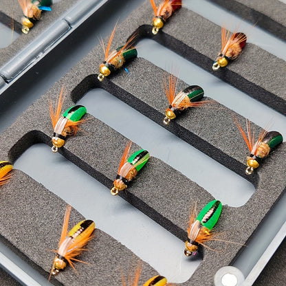 Trout Fly Fishing Flies Kit 24pcs - Brass Bead Head Caddis Nymph Lures Mixed Styles with Tackle Box, High Carbon Steel #10 Hooks for Bass Bluegill Trout Freshwater