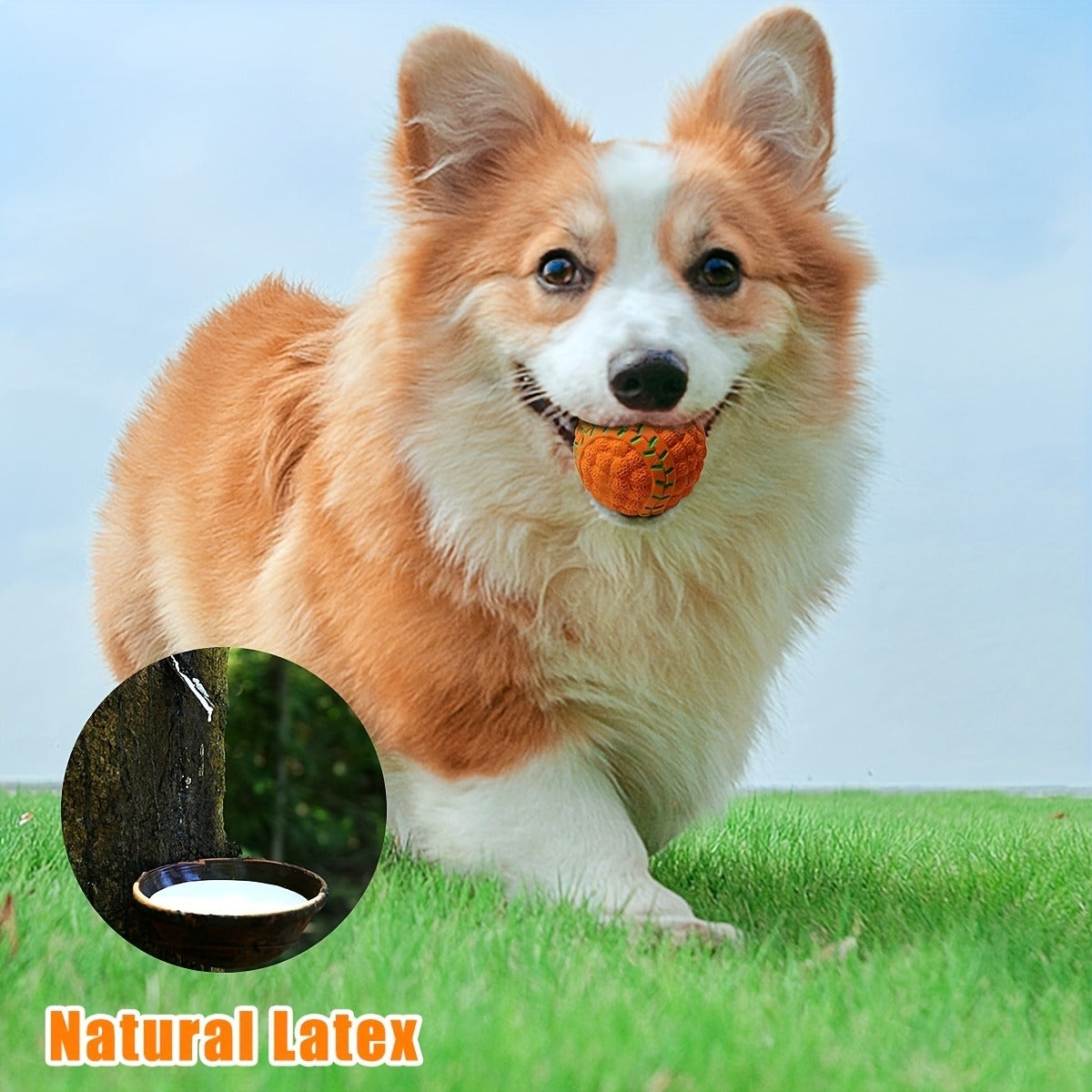 Latex Squeaky Dog Balls 4 Pack Soft Bouncy Sport Fetch Balls for Puppies & Small Dogs - 2.8 Inch Vibrant Color Chew Throw & Fetch Toy Set for Interactive Play