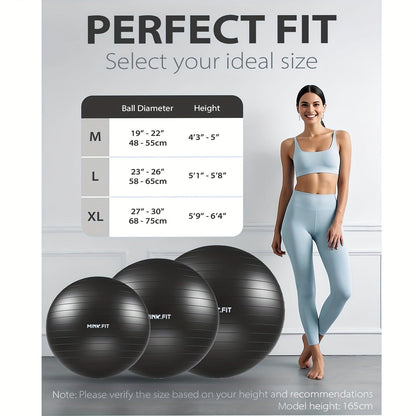Exercise Ball 25 Inch Yoga Stability Ball 2-Pack Anti-Burst Fitness Balance Ball for Home Office Classroom Workout Core Training
