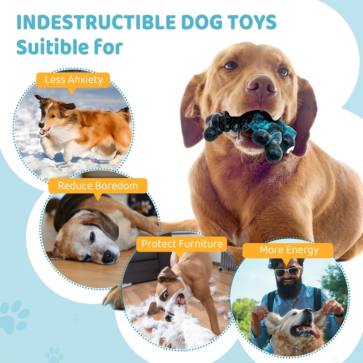 Interactive Dog Chew Toy Indestructible Nylon Bone for Aggressive Chewers - Bacon Flavor Durable Chew Toy for Large Medium Heavy Dogs, Dragonfly Design