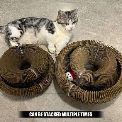 Cat Scratching Board Foldable Organ Design with Circular Ball Track & Bell Balls - Wear-Resistant Thickened Cardboard Scratcher, Interactive Indoor Cat Toy for All Ages