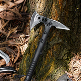 Pointed 3