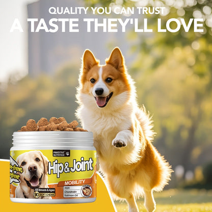 Hip & Joint Supplement for Dogs with Glucosamine & Chondroitin - MSM, Alaskan Salmon Oil Soft Chews for Mobility & Flexibility, Advanced Joint Care for All Breeds, Chicken Flavor, 90 Count
