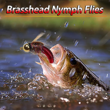 Trout Fly Fishing Flies Kit 24pcs - Brass Bead Head Caddis Nymph Lures Mixed Styles with Tackle Box, High Carbon Steel #10 Hooks for Bass Bluegill Trout Freshwater
