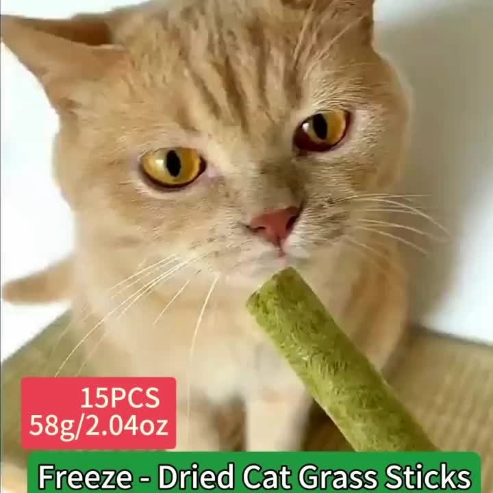 Cat Grass Freeze-Dried Sticks – Natural Dental Chew Snacks for Cats, Hairball Removal & Teeth Cleaning, Consumable Cat Grass Chew Toy (15 or 30 pcs)