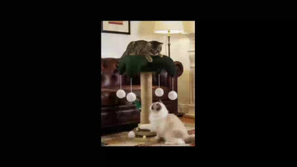 Cat Scratching Post Sisal Vertical Clown Hat Design, Wear-Resistant Cat Scratch Board with Cat Climbing Frame & Teaser Toy, Fun Shaped Cat Scratcher for Indoor Cats, Millet & Turtle Shape, Green