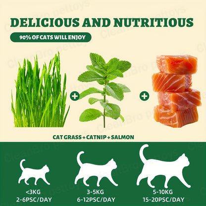 Catnip Cat Treats 150g – Catnip Cookie & Catgrass Molar Stick, Dried Fish Snack for Cats, Teeth Cleaning Dental Chew, Hairball Control Nutrition Fattening Cat Snack