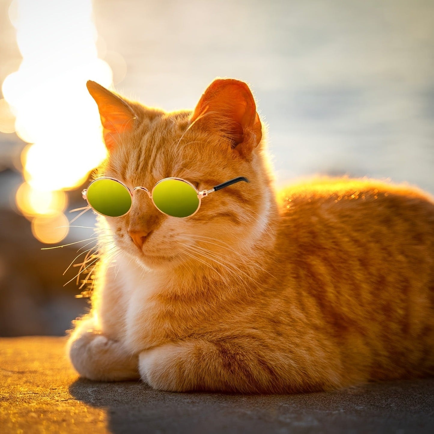 Pet Sunglasses 10-Pack Round Metal Retro Shades for Cats & Dogs – Assorted Colors Classic Hippie Glasses for Cosplay, Parties & Photo Props, Fun Pet Costume Accessory