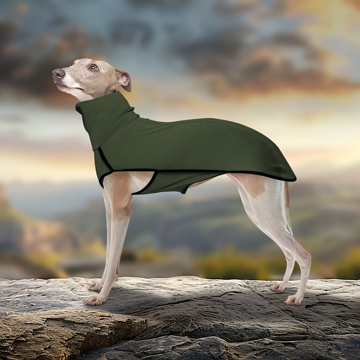 High Neck Dog Coat Warm Pullover – Solid Color Woven Polyester Pet Jacket, Machine Washable, All-Season Fall & Winter Dog Apparel for Small Medium Large Breeds, Colors: Burgundy, Navy, Green, Sizes XL–4XL