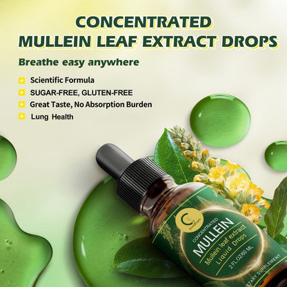 Mullein Leaf Liquid Tincture for Lung & Respiratory Health — Fast-Absorbing Herbal Drops for Breathing Support, Immune Defense & Digestive Wellness | Natural Extract | 2 fl oz