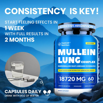 Mullein Leaf Capsules 12000mg with Quercetin — Lung Health & Respiratory Support | Bronchial Breathing Ease, Immune Defense & Seasonal Allergy Comfort | Natural Herbal Formula | 60 Capsules