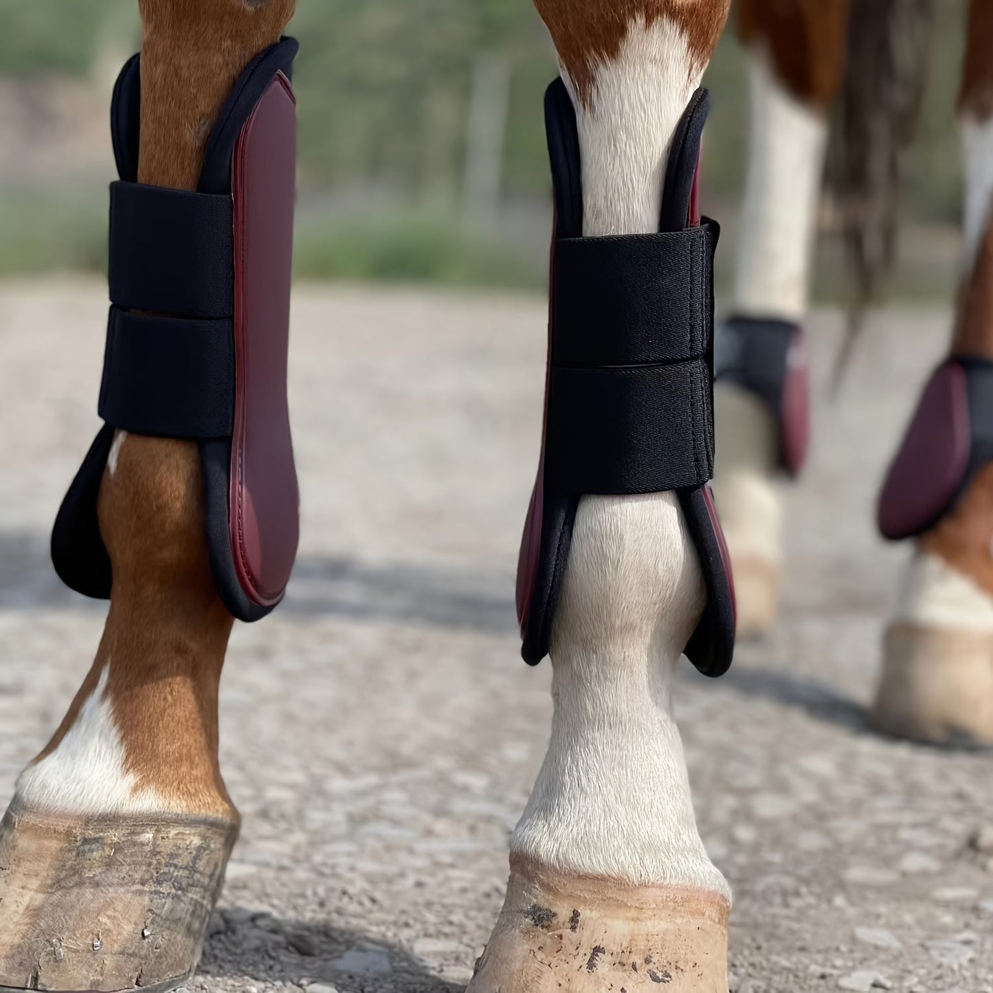 Horse Boots Set of 4 – Open Front Tendon & Fetlock Leg Protection Boots, PU Neoprene Splint Boots for Training, Racing, Riding & Jumping, Full, COB & Pony Sizes, 10 Colors