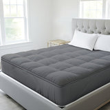 Gray450