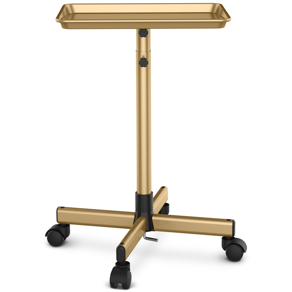 Rolling Salon Tray Cart on Wheels Adjustable Height 17.9x12.8 Inch Mobile Stylist Tray Table for Spa Tattoo Studio Blowdry Bar Aesthetic Clinic Bronze Pink