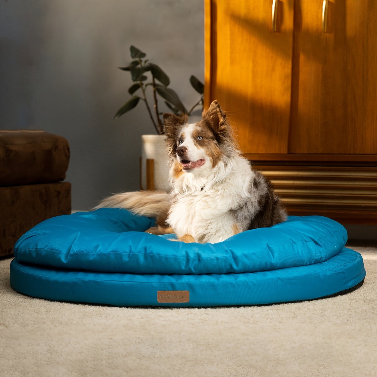 Orthopedic Dog Bed for Large Dogs – Dual Layer Round Pet Bed with Washable Cover & Non-Slip Bottom, Joint Support Memory Foam Dog Sofa Bed, Available in 36" & 42", Mosaic Blue & Olive Branch