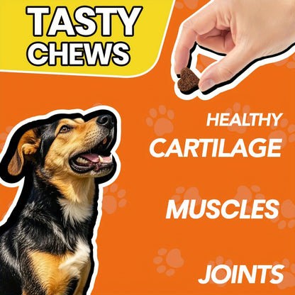 Hip & Joint Supplement for Dogs with Glucosamine & Chondroitin - MSM, Alaskan Salmon Oil Soft Chews for Mobility & Flexibility, Advanced Joint Care for All Breeds, Chicken Flavor, 90 Count