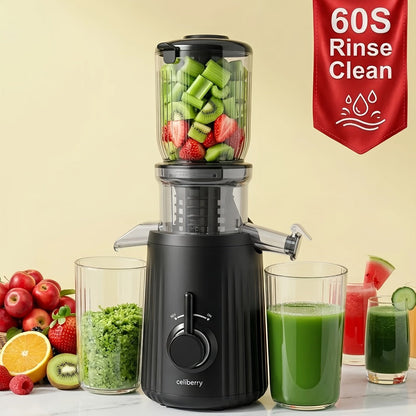 Masticating Juicer Cold Press - 4.25" Wide Feed Chute Auto-Feed Slow Juicer for Whole Fruits & Vegetables, 98% Juice Extraction, Quiet Motor, Easy to Clean, Compact for 1-2 People, Multiple Colors