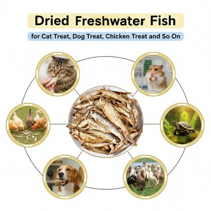 Freeze Dried Whole Minnow Cat Treats – High Protein Fish Bites for Cats, Dogs, Turtles & Reptiles | Natural Freshwater Fish Snacks, Food Topper, Training Reward | 1 LB Resealable Bag, 30% Crude Protein