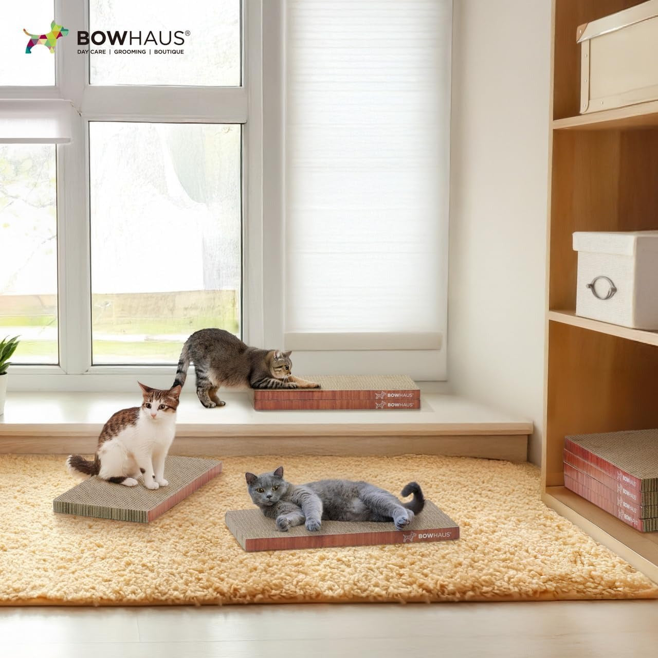 Cat Scratcher Lounger Reversible - Large Cardboard Cat Scratching Pad & Board for Indoor Cats, 5-Layer Durable Construction, Double-Sided Scratch Surface, Furniture Protector, Basic 8pcs & Curved 1pc