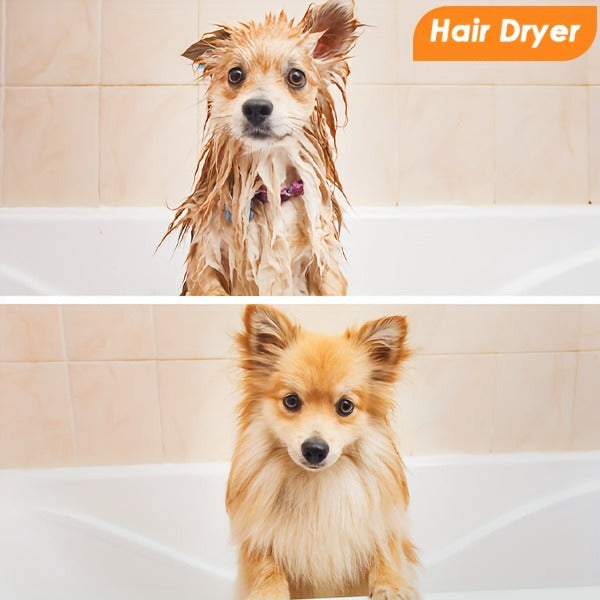 Dog Grooming Vacuum 8-in-1 & 9-in-1 with Dryer Function – 2.2L Large Cup, Low Noise Pet Grooming Vacuum for Shedding, 6 Grooming Tools, Strong Suction Home Dog Grooming Kit (Purple or Orange)