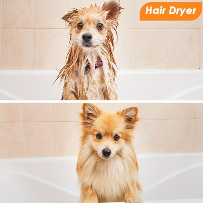 Dog Grooming Vacuum 8-in-1 & 9-in-1 with Dryer Function – 2.2L Large Cup, Low Noise Pet Grooming Vacuum for Shedding, 6 Grooming Tools, Strong Suction Home Dog Grooming Kit (Purple or Orange)