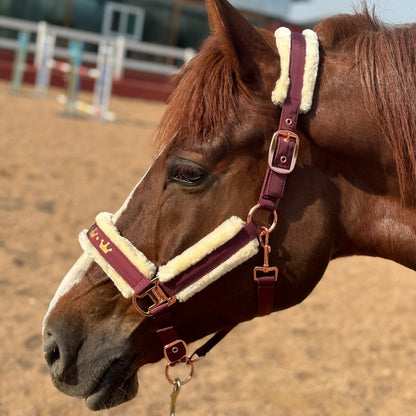 Horse Halter with Detachable Faux Fur Band & Glossy Buckle – Adjustable Head Collar for Horses, Available in 15 Colors & 3 Sizes FULL COB PONY