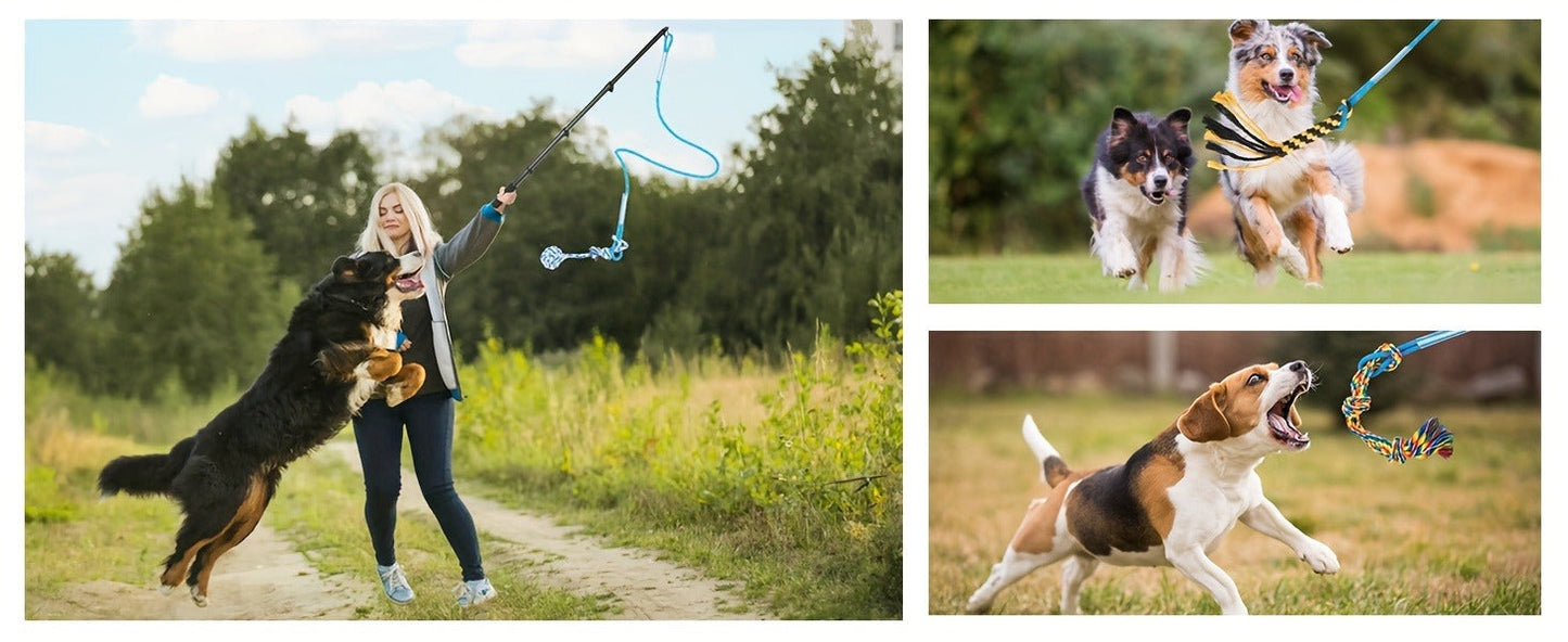 Dog Flirt Pole Telescopic - Extendable Flirt Stick with 3 Detachable Toys & Nylon Rope, Aluminum Alloy Dog Chase Toy for Small Medium Large Dogs, Agility Training Exercise & Interactive Play Tool