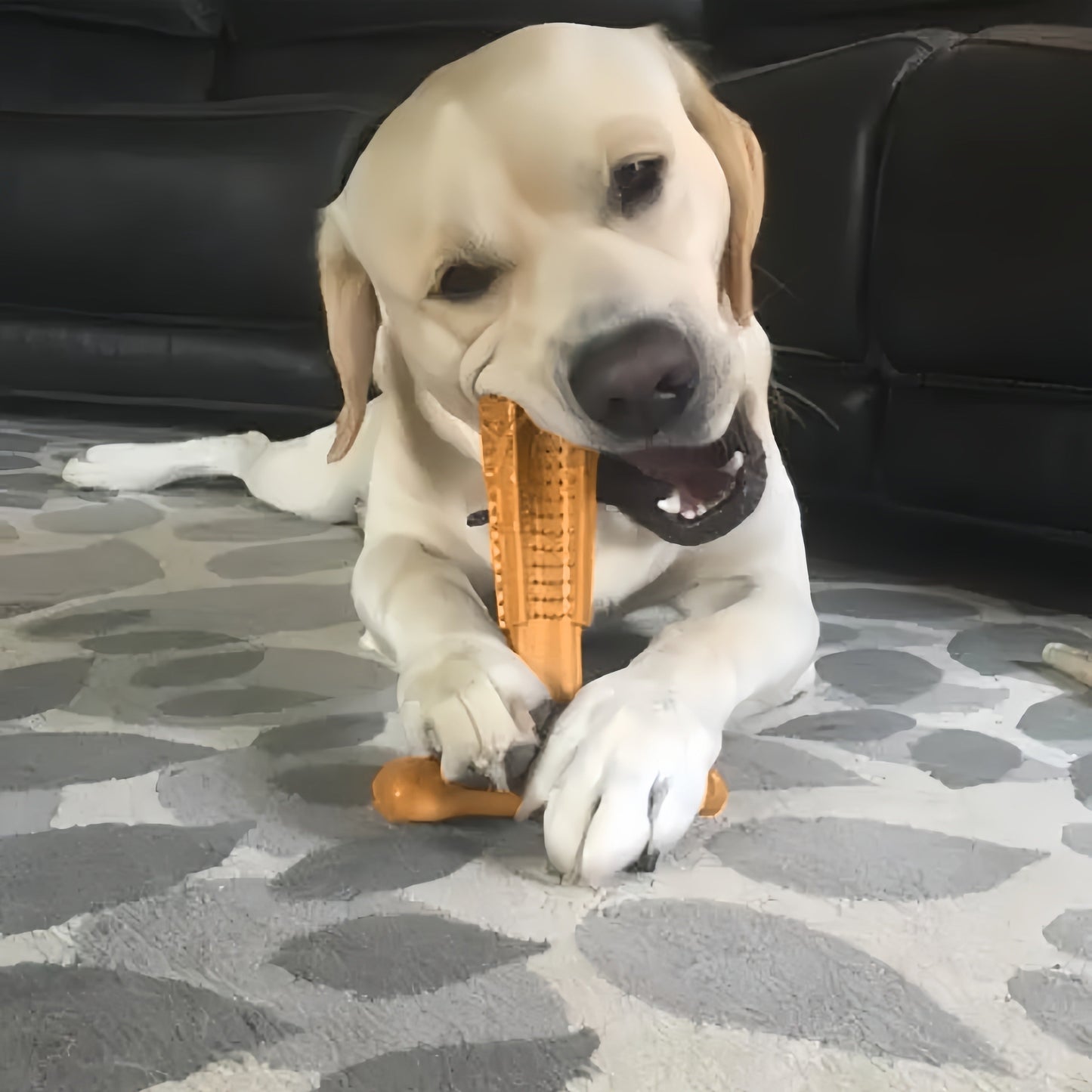 Dog Dental Chew Toy T-Shape with Textured Ridges & Ergonomic Grip – Non-Splintering Durable Chew Toy for Aggressive Chewers, Teething Puppies & Adult Dogs, Promotes Oral Health & Clean Teeth